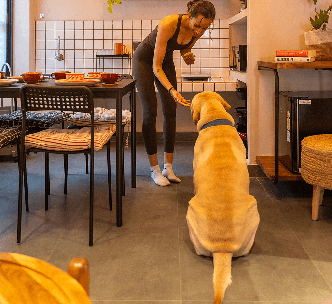 PET FRIENDLY HOTEL ROOMS