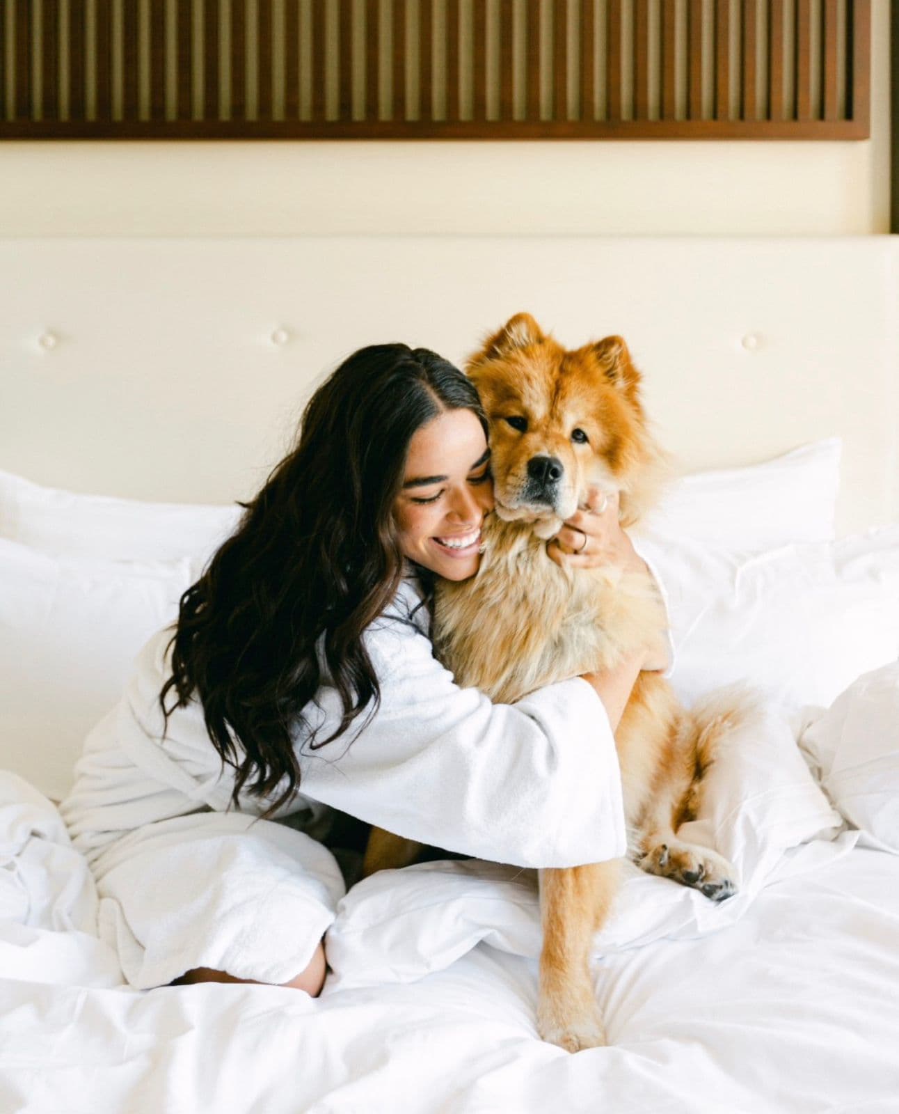 PET FRIENDLY HOTEL ROOMS
